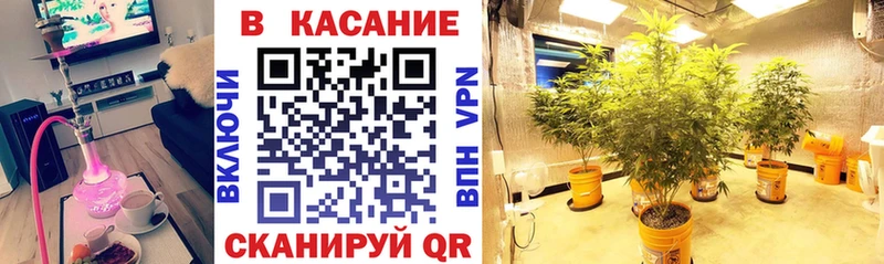 Где можно купить наркотики Струнино Канабис  Cocaine  ГАШИШ  Псилоцибиновые грибы  OMG зеркало  Мефедрон 