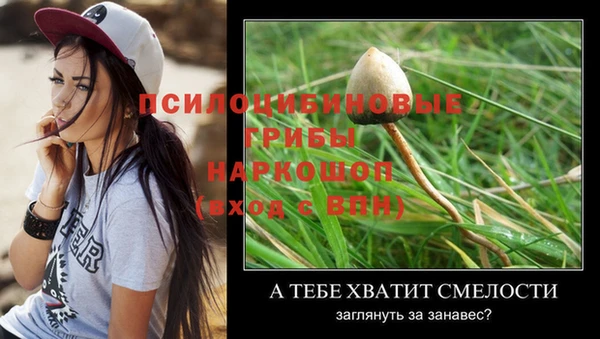 а пвп мука Михайловка